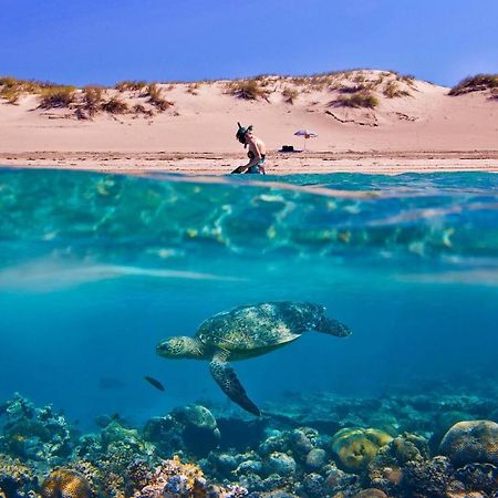 Vasilikí Tortuga Dafni Bay Villas Diver'S Paradise By "Elite" מראה חיצוני תמונה