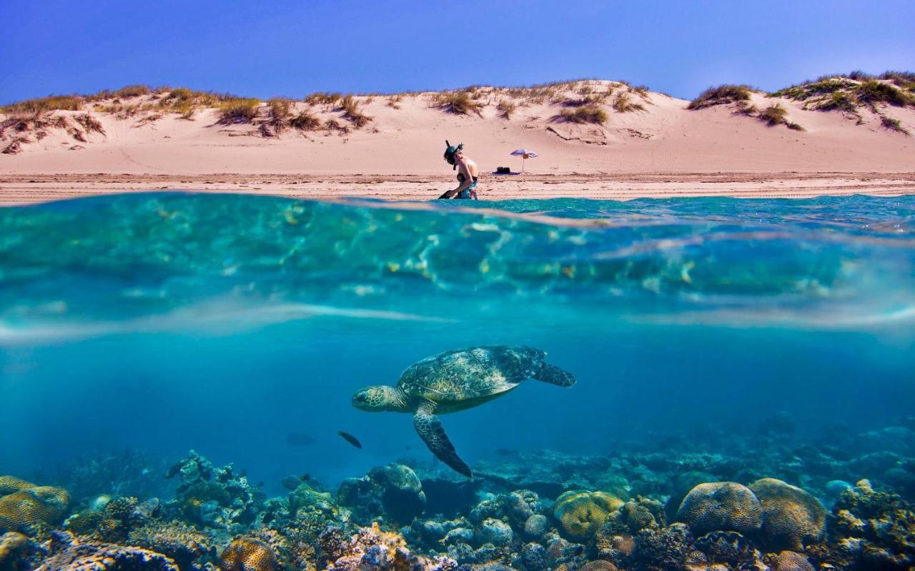 Vasilikí Tortuga Dafni Bay Villas Diver'S Paradise By "Elite" מראה חיצוני תמונה