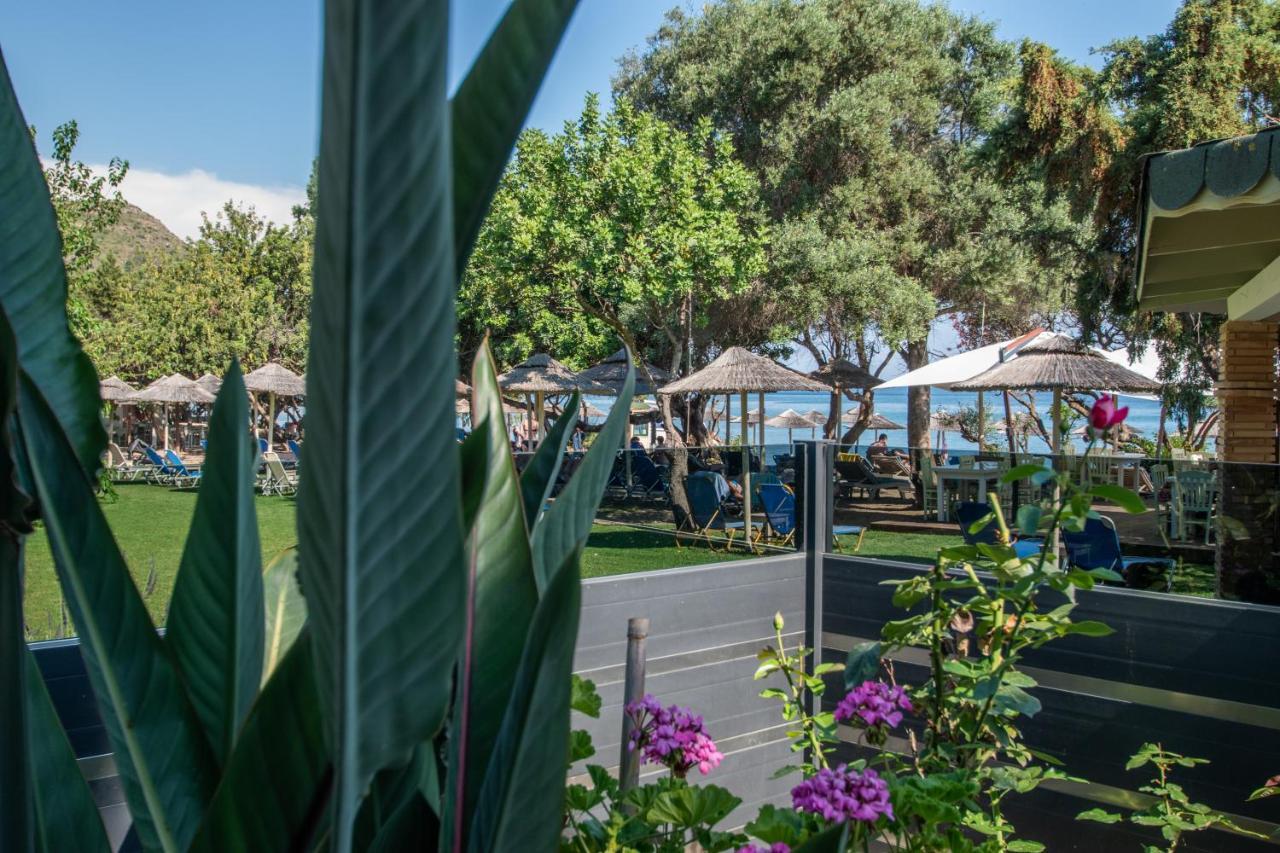 Vasilikí Tortuga Dafni Bay Villas Diver'S Paradise By "Elite" מראה חיצוני תמונה
