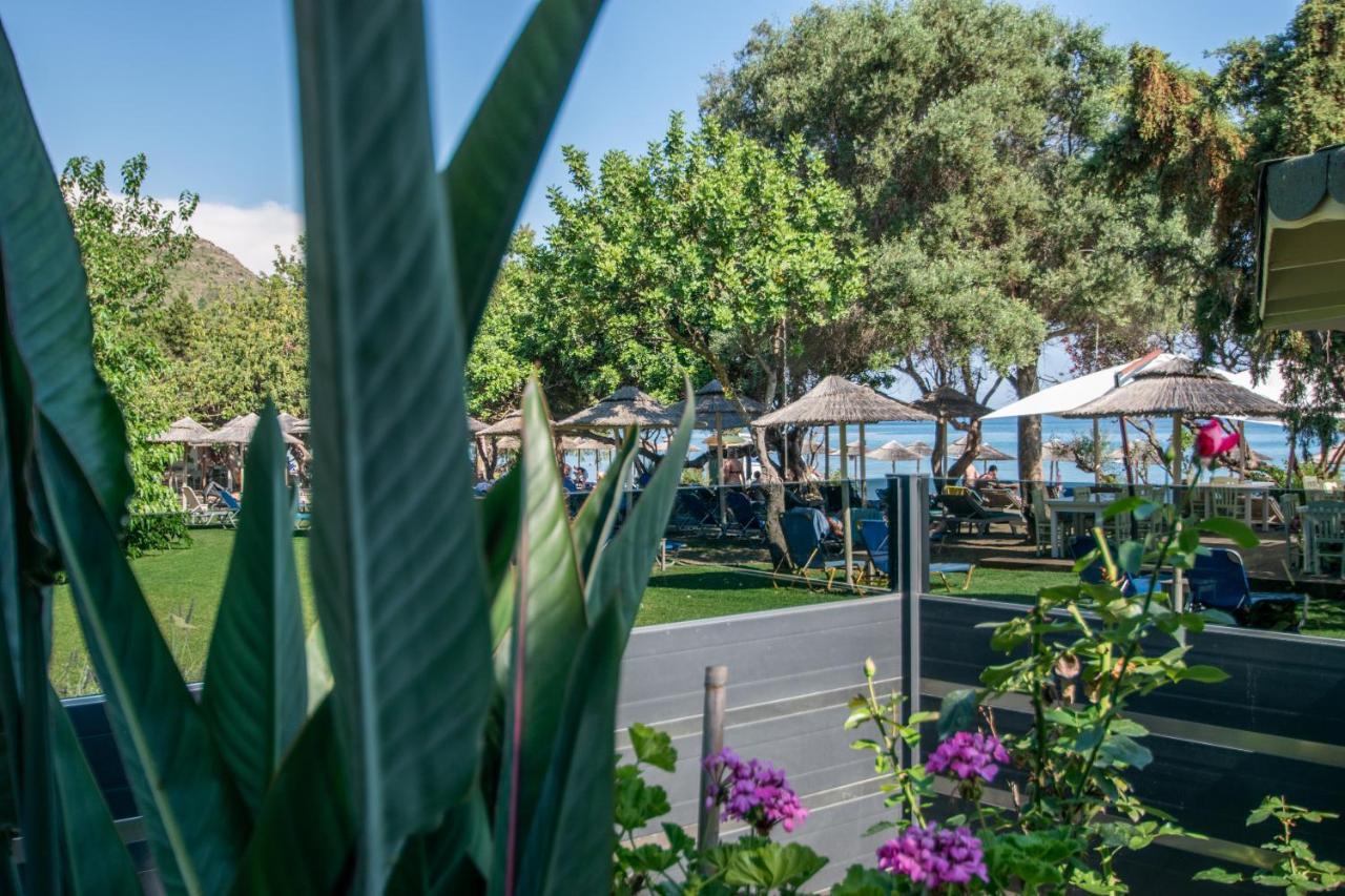 Vasilikí Tortuga Dafni Bay Villas Diver'S Paradise By "Elite" מראה חיצוני תמונה